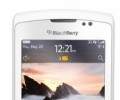 Torch 9800